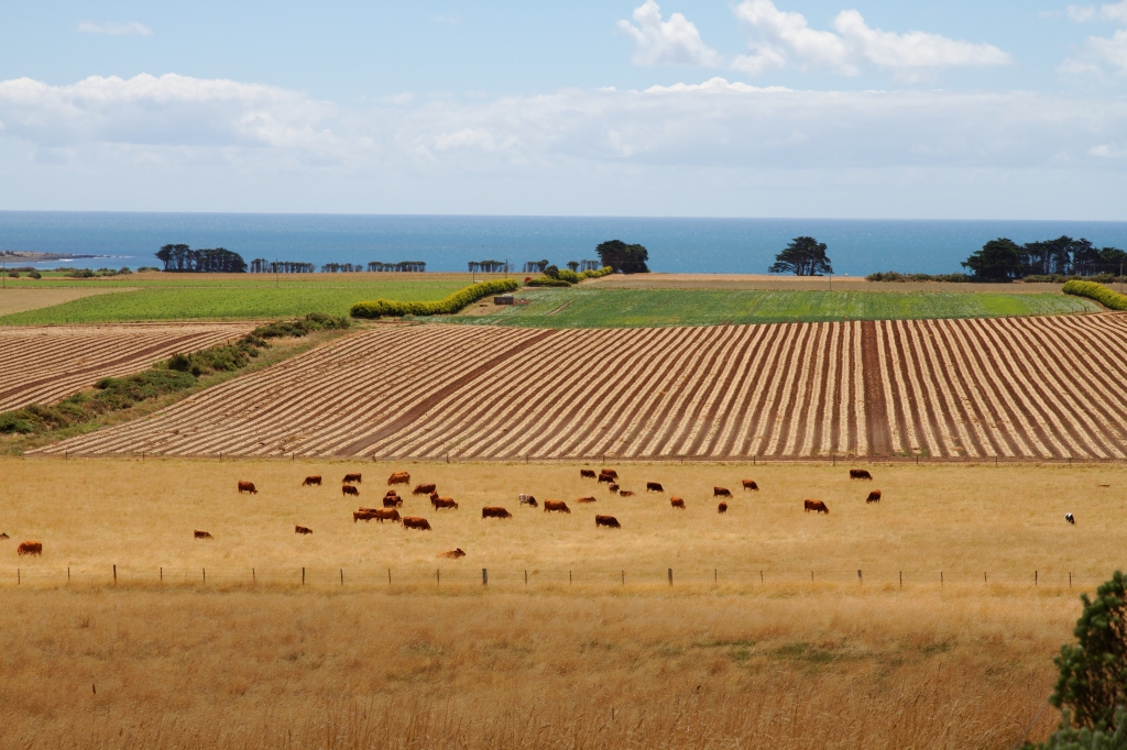 21 - The Nut (11).jpg